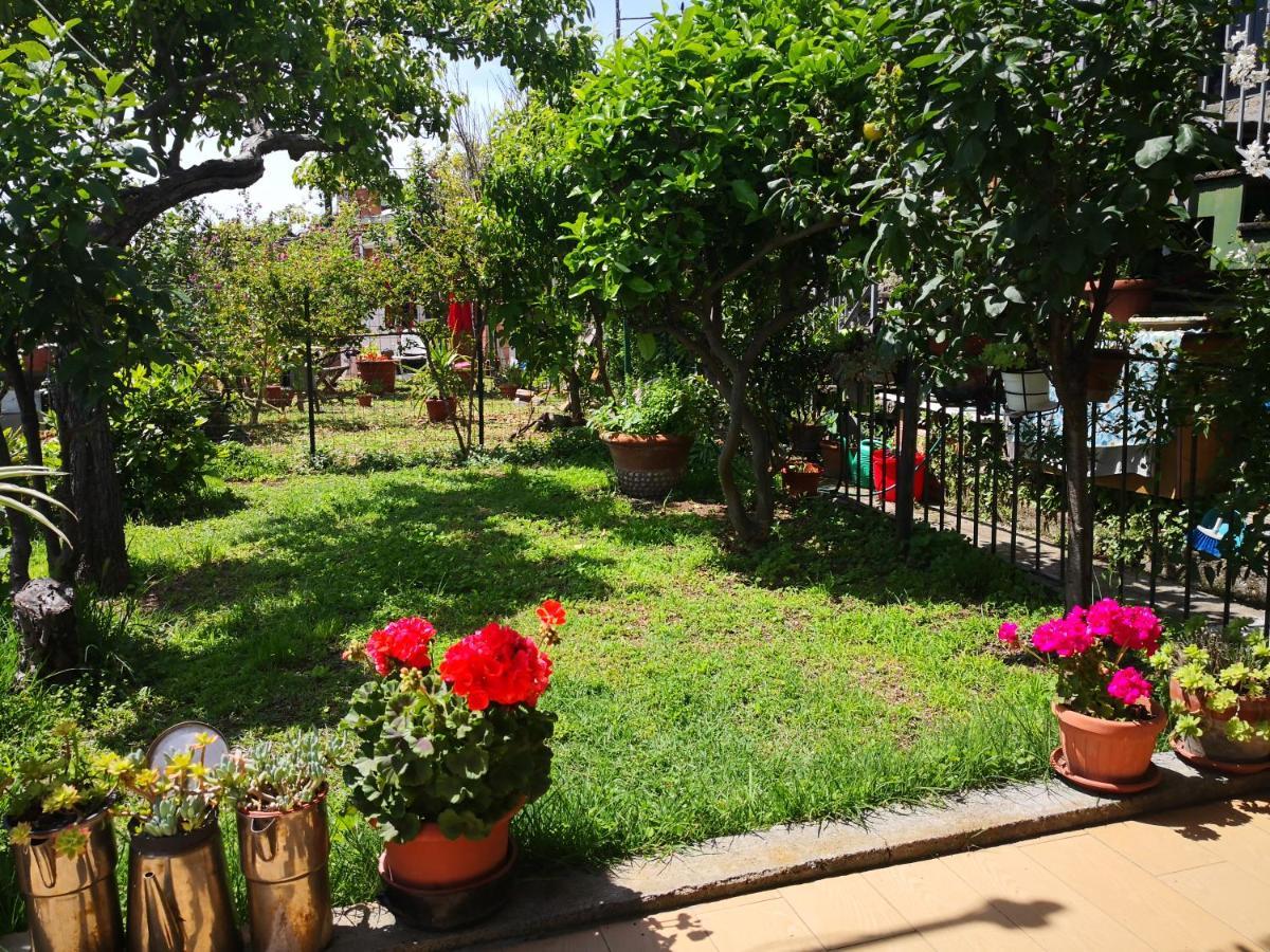 Il Nido Dei Gabbiani Βίλα Πόρτο Βένερε Εξωτερικό φωτογραφία